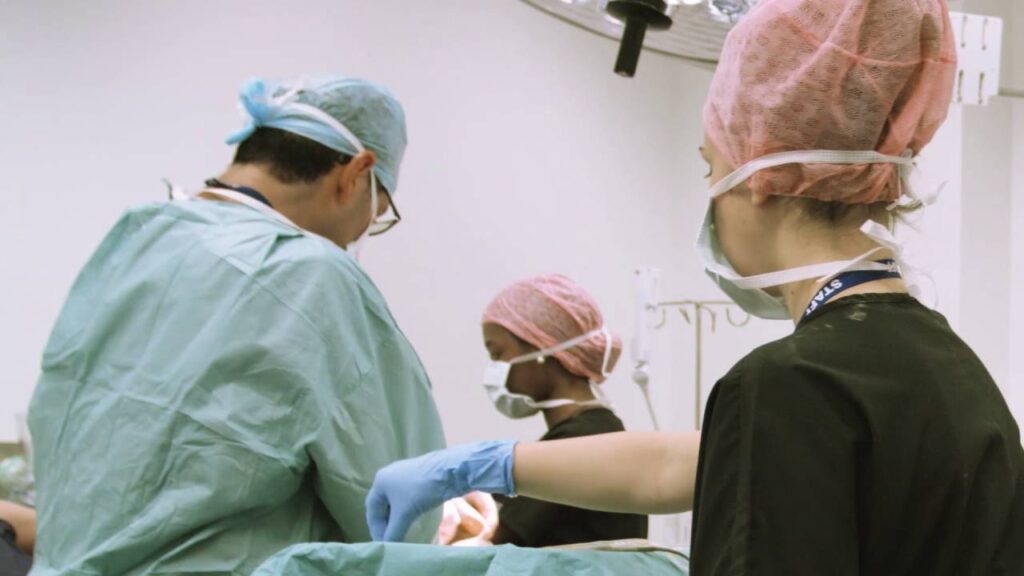 Vasectomy Auckland: What to Expect Before, During, and After the Procedure